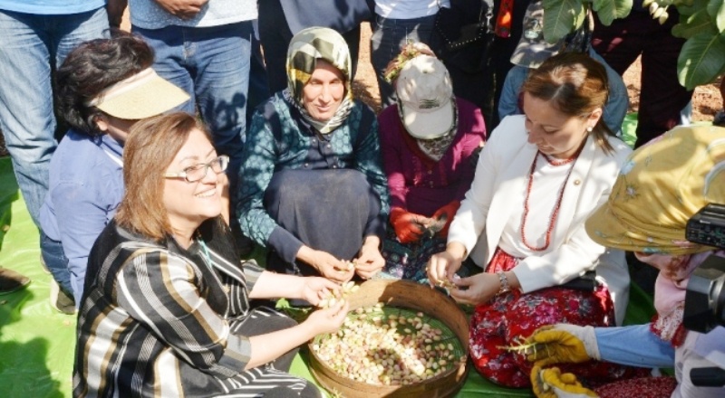 ‘Gastroantep Hasat Günleri’ digital ortamda yapılacak
