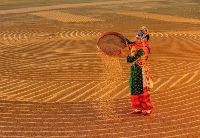 Gastronomi dünyası Gastroantep Festivali'nde buluşacak 