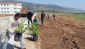GAÜN İslahiye İİBF kampüsünde iki bin fidan dikildi