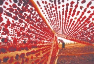 Dolmalık Biber Kurusu için coğrafi işaret belgesi alındı