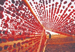 Dolmalık Biber Kurusu için coğrafi işaret belgesi alındı