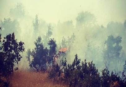 Gaziantep 14 hektar alan yandı