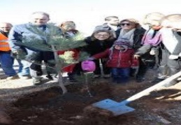 Gaziantep 1 milyon metrekareyi yeşertecek