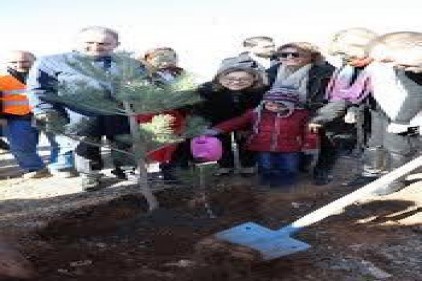 Gaziantep 1 milyon metrekareyi yeşertecek
