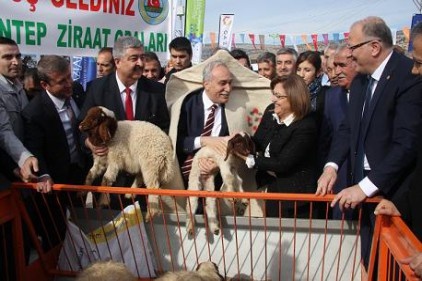 Gaziantep, bir tarım şehri