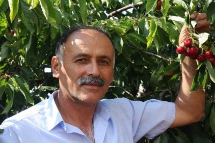 Gaziantep bu yıl kiraz üretiminde rekor kırdı