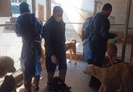 Gaziantep Büyükşehir depremde zarar gören sahipsiz sokak hayvanlarına kol kanat geriyor.