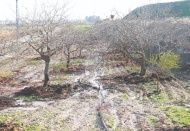 Gaziantep, ciddi bir kuraklık sorunuyla karşı karşıya
