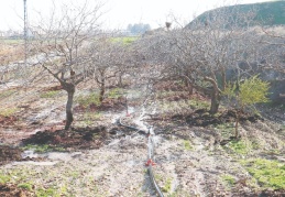 Gaziantep, ciddi bir kuraklık sorunuyla karşı karşıya