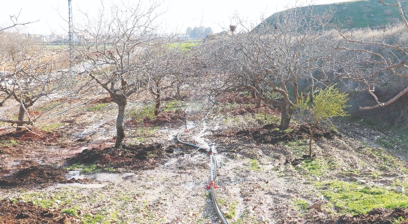 Gaziantep, ciddi bir kuraklık sorunuyla karşı karşıya