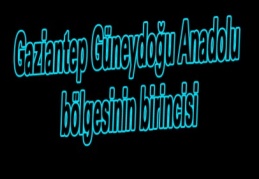 Gaziantep Güneydoğu Anadolu bölgesinin birincisi