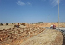 Gaziantep-Nizip-Nurdağı otobanı yeşile bürünüyor 