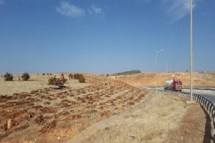 Gaziantep-Nizip-Nurdağı otobanı yeşile bürünüyor 
