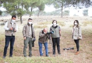 Gaziantep ormanlarındaki kızıl geyik sayısı araştırılıyor