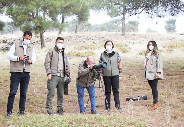 Gaziantep ormanlarındaki kızıl geyik sayısı araştırılıyor