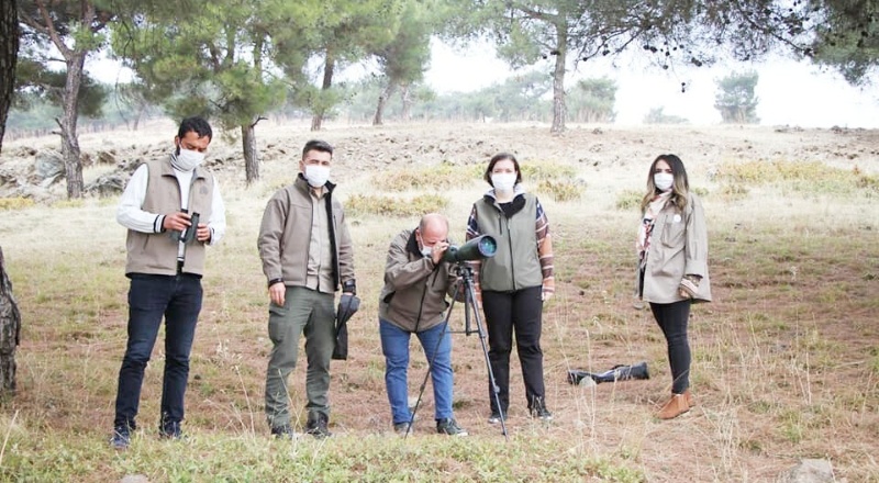 Gaziantep ormanlarındaki kızıl geyik sayısı araştırılıyor