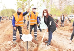 Gaziantep Serbest Muhasebeciler ve Mali Müşavirler Odası ağaç dikti