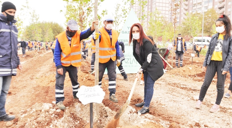 Gaziantep Serbest Muhasebeciler ve Mali Müşavirler Odası ağaç dikti