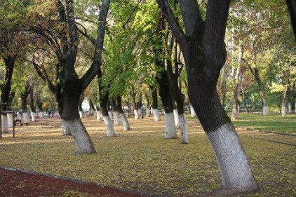 Gaziantep yağışssız bir sonbahar yaşıyor
