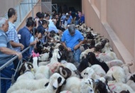 Gaziantep Yardım Vakfı'nda Kurban Bayramı hazırlığı
