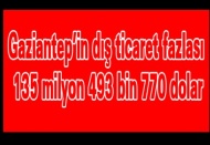 Gaziantep’in dış ticaret fazlası 135 milyon 493 bin 770 dolar