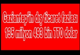 Gaziantep’in dış ticaret fazlası 135 milyon 493 bin 770 dolar