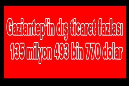 Gaziantep&#8217;in dış ticaret fazlası 135 milyon 493 bin 770 dolar