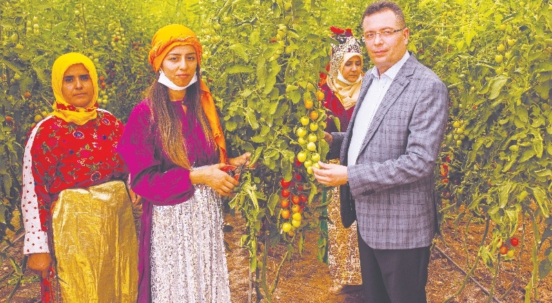 Gaziantep’in lezzetleri dünyanın farklı coğrafyalarına ulaşıyor