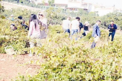 Gaziantep&#8217;in o olağanüstü mutfağını ve gurme kültürünü dünyaya tanıtmak