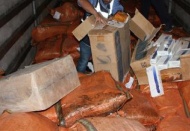 Gaziantep'te 565 bin paket kaçak sigara ele geçirildi