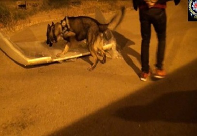 Gaziantep'te 2 buçuk milyonluk uyuşturucu hap ele geçirildi