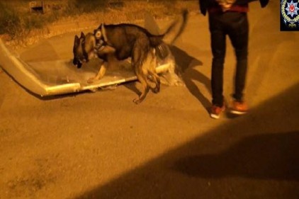Gaziantep&#039;te 2 buçuk milyonluk uyuşturucu hap ele geçirildi
