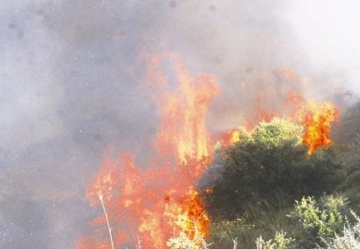 Gaziantep’te 36 yangın çıktı