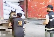 Gaziantep'te 10 bin 400 paket kaçak sigara ele geçirildi