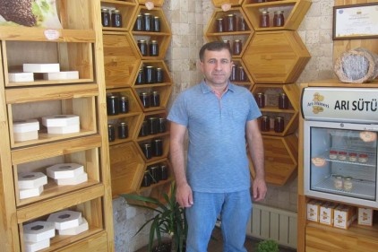 Gaziantep’te bal hasadına başlandı
