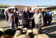 Gaziantep’te hayvancılık bitme noktasında