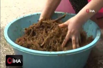 Gaziantep&#039;te iftar sofralarının vazgeçilmezi meyan şerbeti