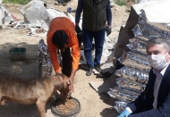 Gaziantep’te sokak hayvanları da unutulmadı