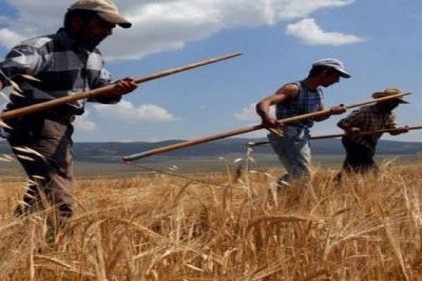 Gaziantep&#8217;te Tarımsal Kuraklık İl Kriz Merkezi oluşturuldu