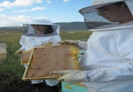 Gaziantep’te yılda 160 ton bal üretildiğini biliyor muydunuz?