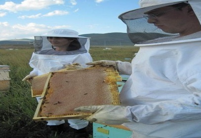 Gaziantep’te yılda 160 ton bal üretildiğini biliyor muydunuz?