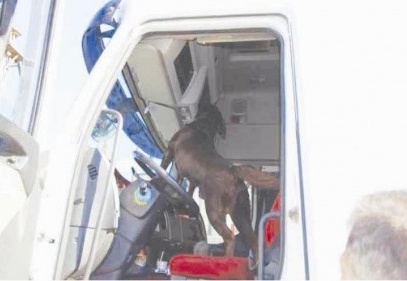 Gaziantep’ten İstanbul’a TIR’la uyuşturucu sevkiyatı