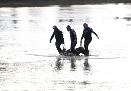 Gaziantep’ten Sivas’a giden patates işçilerinin çocukları Kızılırmak’ta boğuldu