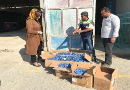 Gaziantep'ten Turhal Belediyesi'ne geri dönüşüm desteği 