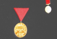 Gazilik unvanı 100 yaşında