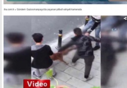Gaziosmanpaşa'da yaşanan pitbull vahşeti kamerada