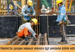 Geçen yıl 87 bin yabancıya çalışma izni verildi