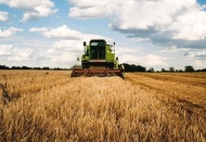 Geciken destek, destek değildir