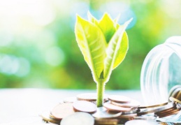 Geleceğin inşası, iklim değişikliği ve bağımsız merkez bankaları