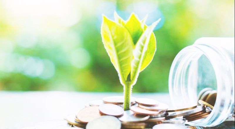 Geleceğin inşası, iklim değişikliği ve bağımsız merkez bankaları